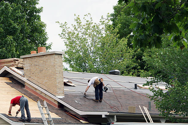 Best Roof Maintenance Services  in Fort Ashby, WV